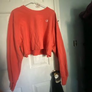 champion hoodie. M/L